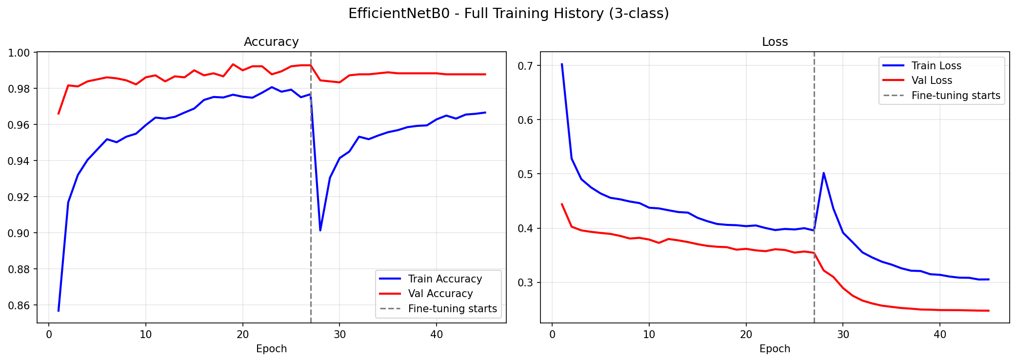Training Curves